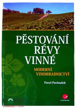 Pěstování révy vinné – moderní vinohradnictví