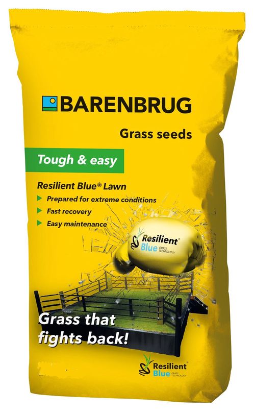 BARENBRUG RESILIENT BLUE Lawn 5 kg