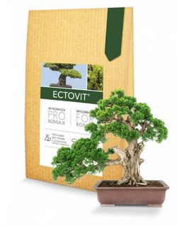 Symbiom Ectovit Bonsai 100g