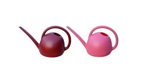 Konev pokojová 1,8 l Meduza