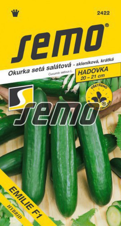 Okurka setá salátová hadovka Emilie F1