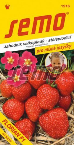 Jahodník Florian F1